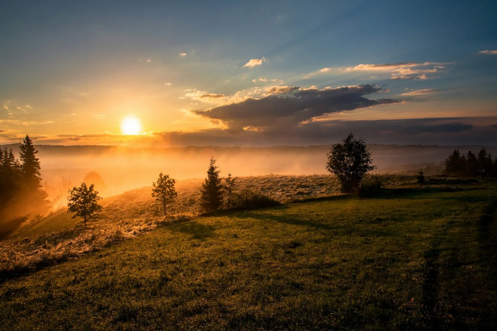 Il sole che sorge sopra un campo aperto, con la nebbia bassa.