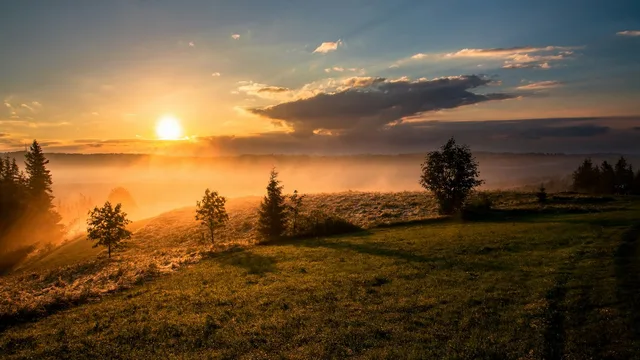 Il sole che sorge sopra un campo aperto, con la nebbia bassa.